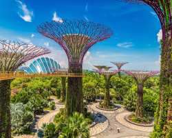 All the three gardens are worth exploring and the Bay Southern Garden is the most prolonged garden amid the three with 130 acres of the coast.